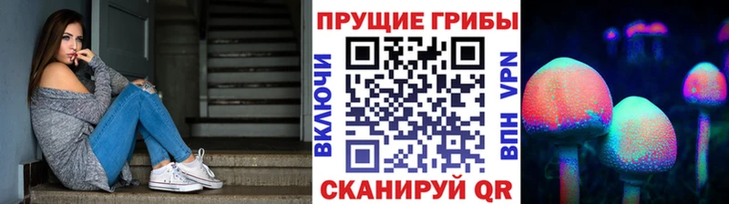 Галлюциногенные грибы мухоморы  наркошоп  Рославль 