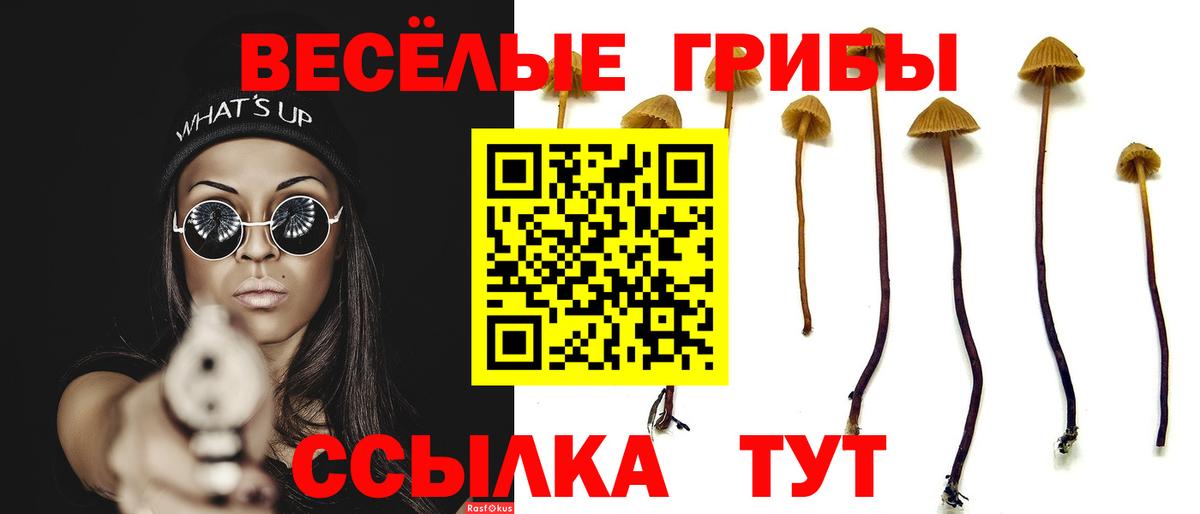 Галлюциногенные грибы мухоморы Рославль